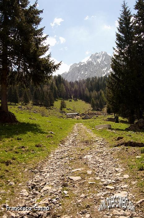 010 Discesa lungo la bella mulattiera che passa dalla malga Voia.jpg